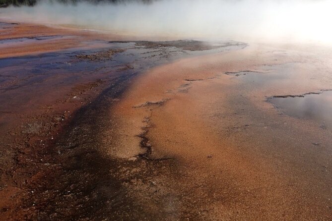 Yellowstone For Kids Family Fun Tour w/PU in West Yellowstone - Kid-Friendly Activities and Educational Materials