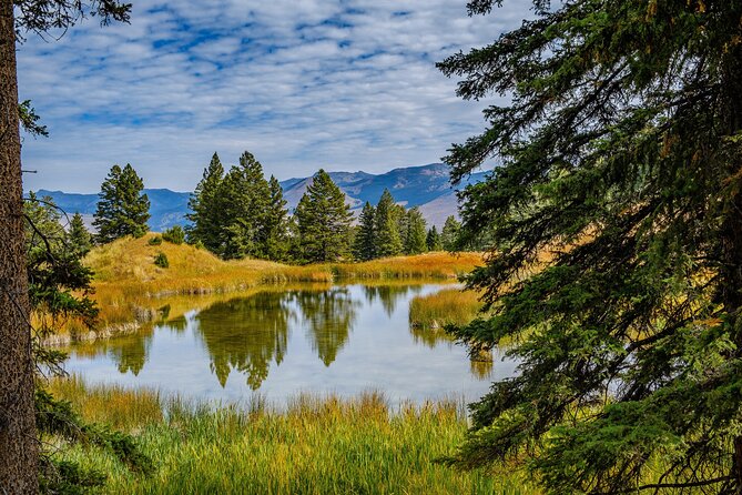 Yellowstone Full Day Private Hike - Gourmet Picnic Lunch in the Heart of Nature