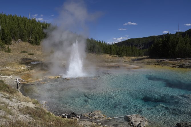 Yellowstone Full Day Private Tour - Exploring Yellowstone Lake at West Thumb Geyser Basin