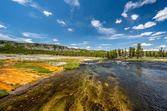 Yellowstone Full Day Private Tour - Visiting the Sulfuric Mud Volcano Area