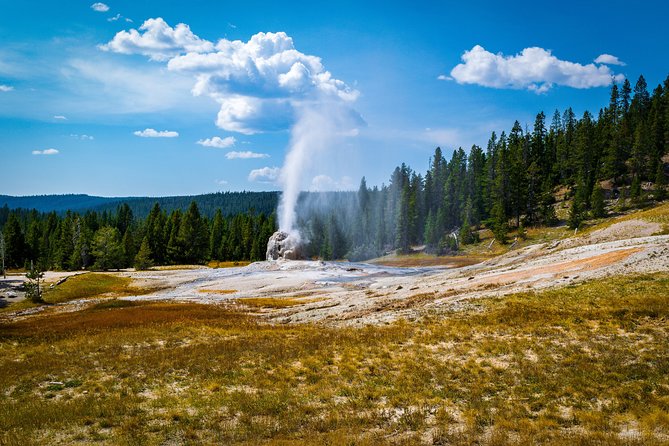 Yellowstone Full Day Private Tour & Hike - Pickup from Gardiner - Explore Yellowstone with a Private, Fully Customizable Day Tour from Gardiner