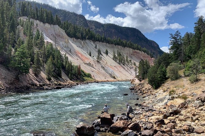 Yellowstone Full Day Private Tour & Hike - Pickup from Gardiner - Viewing the Grand Canyon of Yellowstone from Artist Point