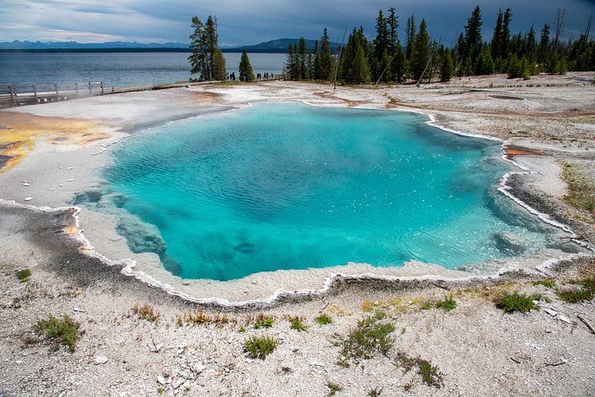 Yellowstone Full Day Private Tour & Hike - Pickup from Gardiner - Gourmet Picnic Lunch on the Banks of a Yellowstone River