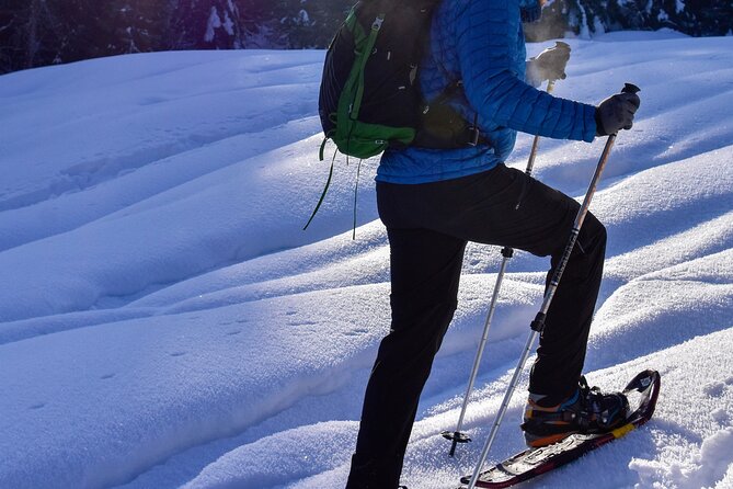 Yellowstone Full Day Winter Tour (With Optional Hike or Snowshoe) - Luxury Transportation and Pickup in West Yellowstone