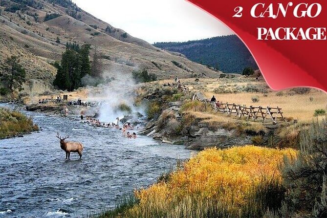 Yellowstone & Grand Teton National Parks: Small Group 6-Day Tour - Key Points