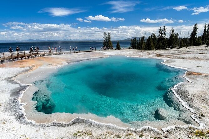 Yellowstone & Grand Teton National Parks: Small Group 6-Day Tour - Exploring the Geothermal Wonders of Yellowstone