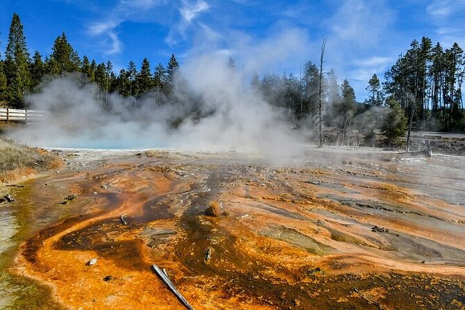 Yellowstone & Grand Teton National Parks: Small Group 6-Day Tour - Overall Value and Suitability