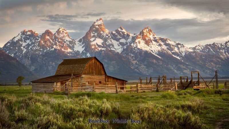 Yellowstone & Grand Tetons: 4-Day/3-Night Wildlife Adventure - Discover Wyoming’s Wild Side with a 4-Day/3-Night Wildlife Adventure in Yellowstone and Grand Teton
