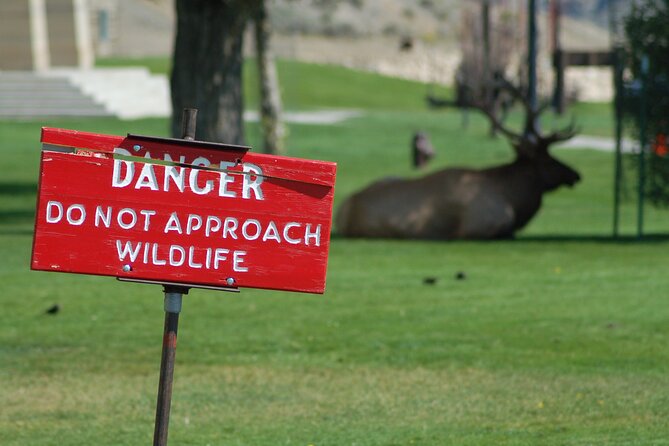 Yellowstone Grand Tour: See All Yellowstone In One Day - Discover the Yellowstone Grand Tour: All in One Day