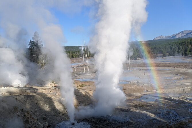 Yellowstone Grand Tour: See All Yellowstone In One Day - Norris Geyser Basin: Two Geyser Fields in One Stop