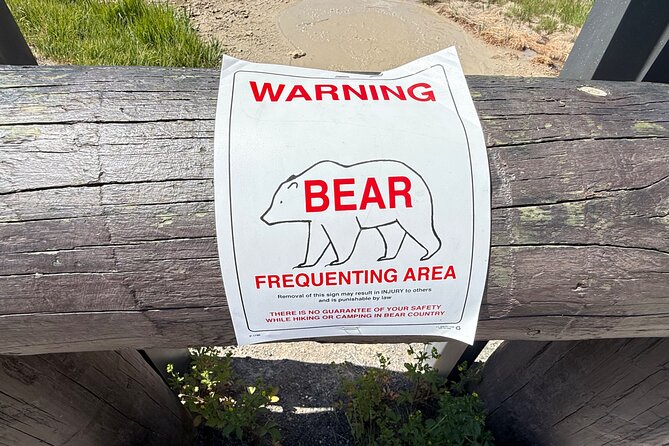 Yellowstone Hidden Gems Hiking Tour West Yellowstone - Norris Geyser Basin: Yellowstone’s Thermal Powerhouse