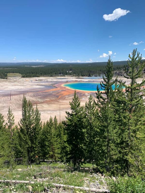 Yellowstone in a Day - Private Grand Loop Tour - Key Points