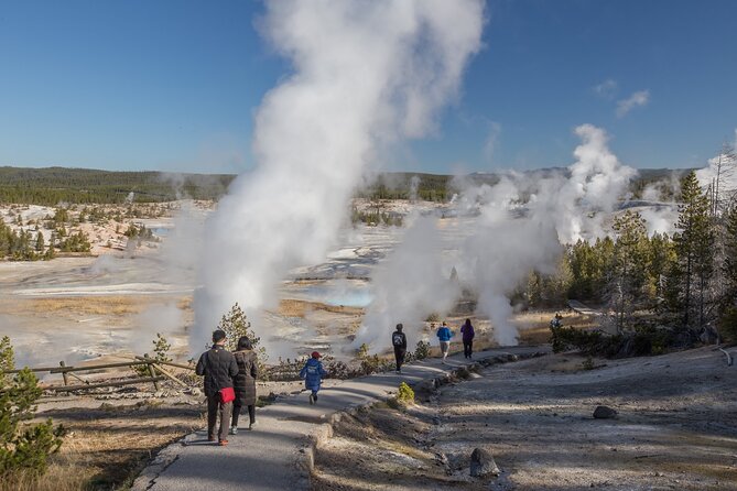 Yellowstone in a Day - Wildlife, Canyons, & Hot Springs - Key Points