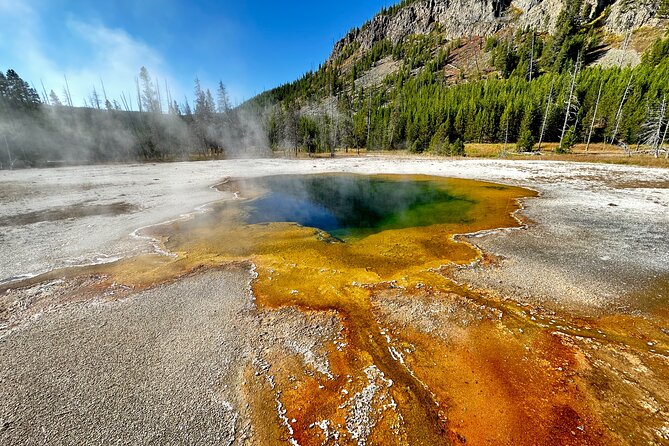 Yellowstone Lower Loop Full-Day Tour - Pickup and Departure from Jackson Hole