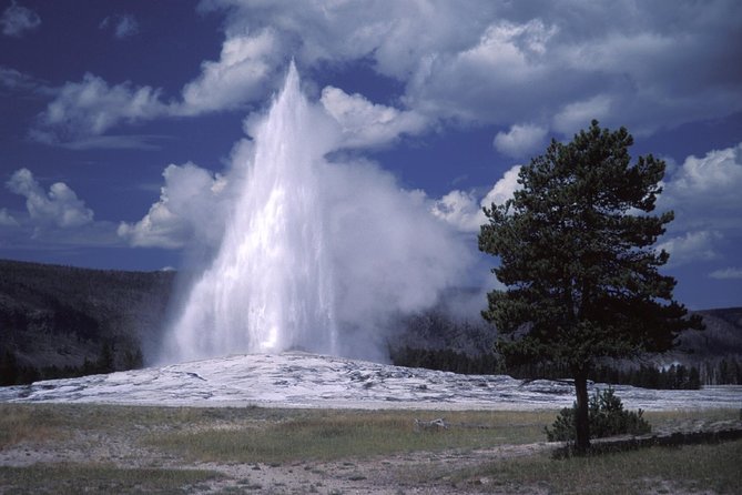 Yellowstone Lower Loop Full-Day Tour - The Guided Experience and Wildlife Encounters