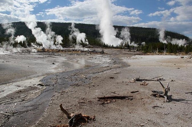 Yellowstone Lower Loop VIP Full-Day Private Tour with Lunch - Visit Gibbon Falls for a Classic Yellowstone Photo Stop