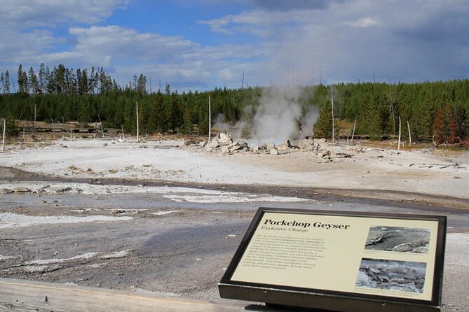 Yellowstone Lower Loop VIP Full-Day Private Tour with Lunch - Witness the Eruption of Old Faithful and Understand Its Predictability
