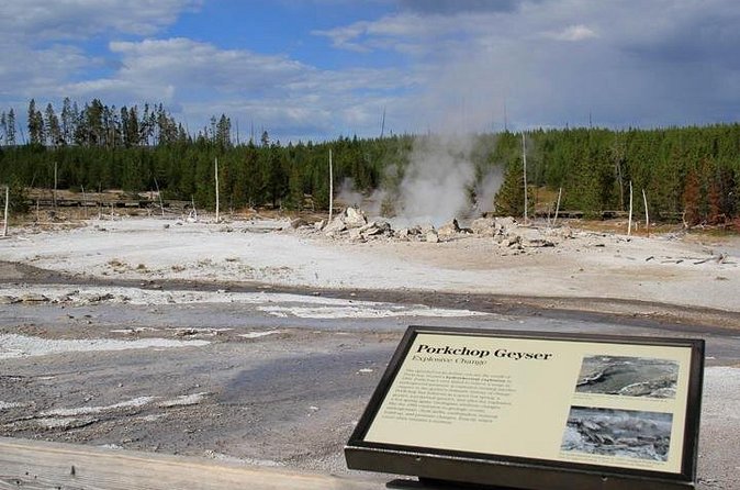 Yellowstone Lower Loop VIP Full-Day Private Tour with Lunch - Explore Fountain Paint Pot for a Multi-Feature Geothermal Experience