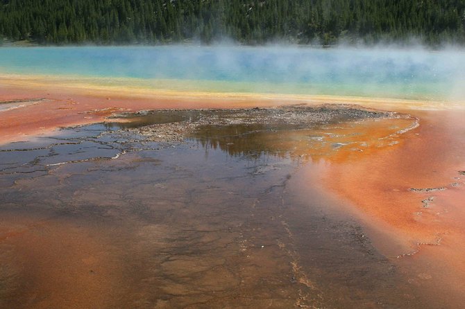 Yellowstone National Park - Full-Day Lower Loop Tour from Jackson - Wildlife Viewing Tips and Binoculars