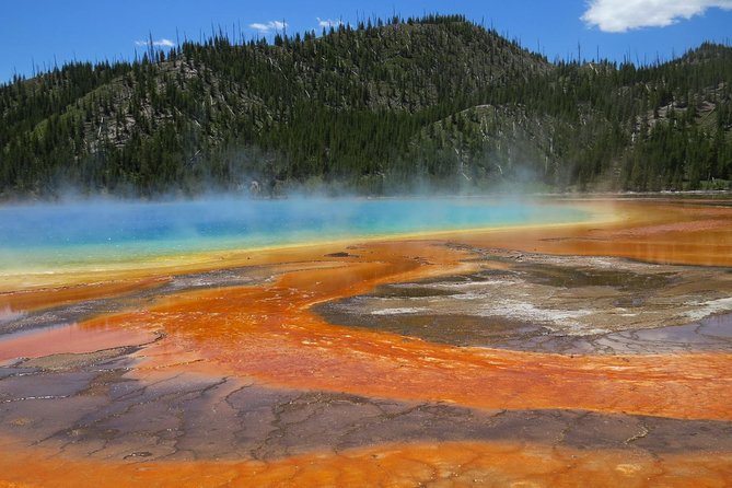 Yellowstone National Park - Full-Day Lower Loop Tour from West Yellowstone - The Experience of Guided Tours with Expert Guides