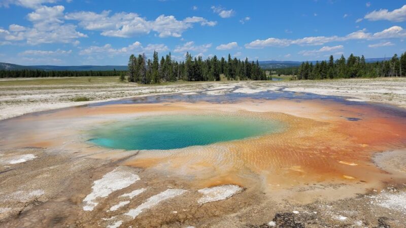 Yellowstone National Park Private Day Tour - Yellowstone Private Day Tour: An Intimate, Flexible Yellowstone Experience