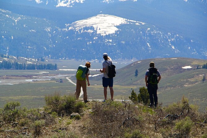 Yellowstone National Park Private Full Day Guided Hike - Guided Hiking in Yellowstone’s Wild Areas