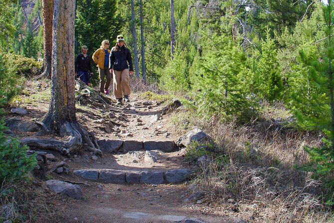 Yellowstone National Park Private Full Day Guided Hike - Lunch, Snacks, and Refreshments Included