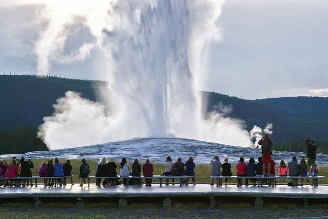 Yellowstone National Park Tour from Jackson Hole - Wildlife Viewing in Hayden Valley