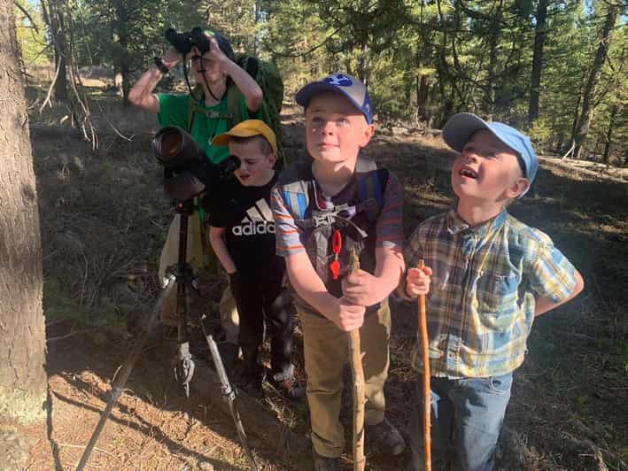 Yellowstone Old Faithful and Waterfall Tour - Wildlife Hotspots and Hayden Valley