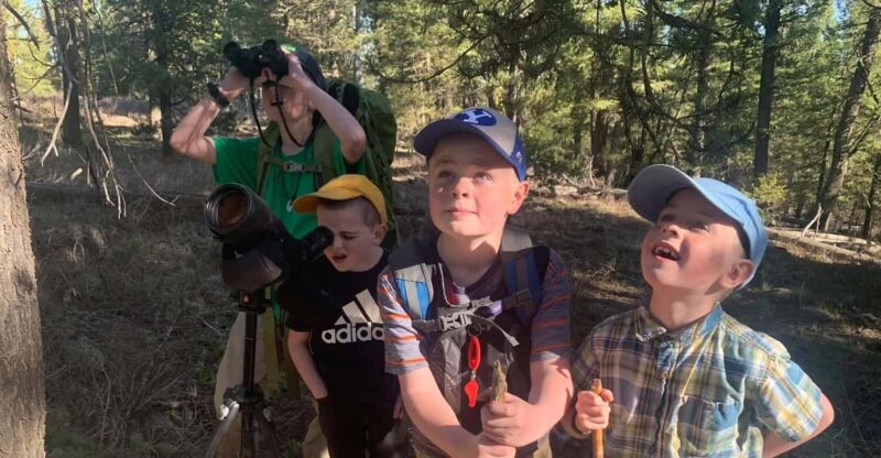 Yellowstone Old Faithful and Waterfall Tour - The Majesty of the Grand Canyon of Yellowstone and Lower Falls