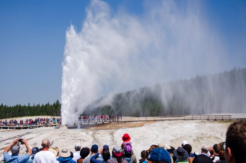 Yellowstone Old Faithful and Waterfall Tour - Who Will Appreciate This Yellowstone Tour Most