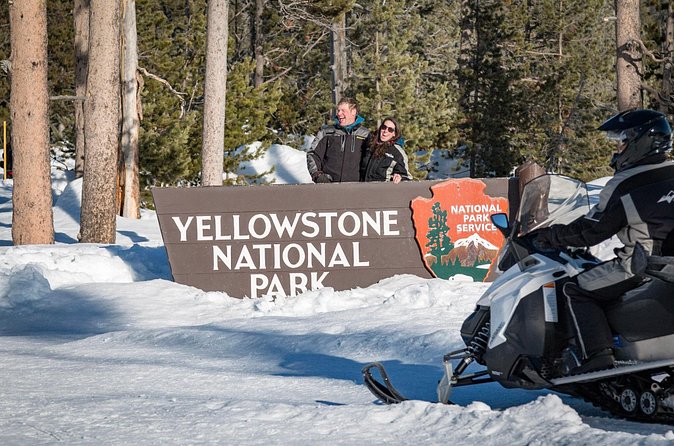 Yellowstone Old Faithful Full-Day Snowmobile Tour from Jackson Hole - Wildlife and Scenic Encounters in Yellowstone