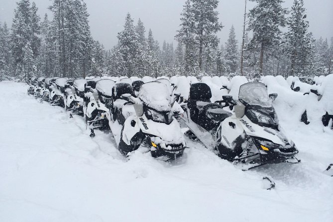 Yellowstone Old Faithful Full-Day Snowmobile Tour from Jackson Hole - Safety, Physical Requirements, and Participant Considerations