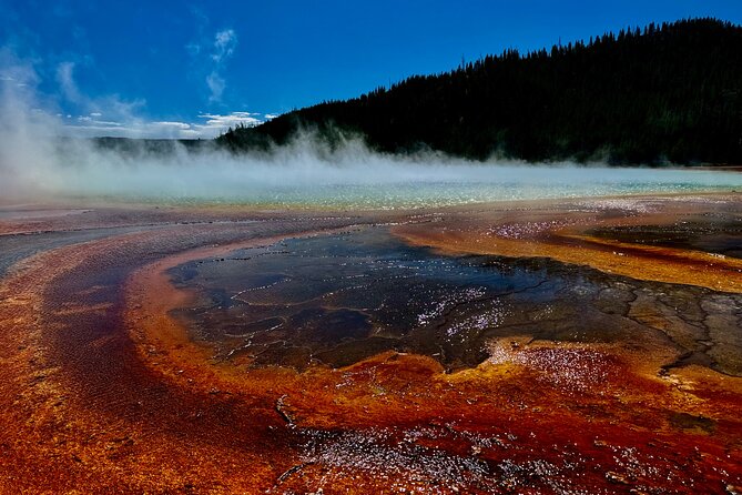 Yellowstone Open Air GLASS TOP/CONVERTIBLE Tour PU@Canyon Village - Logistics, Group Size, and Accessibility