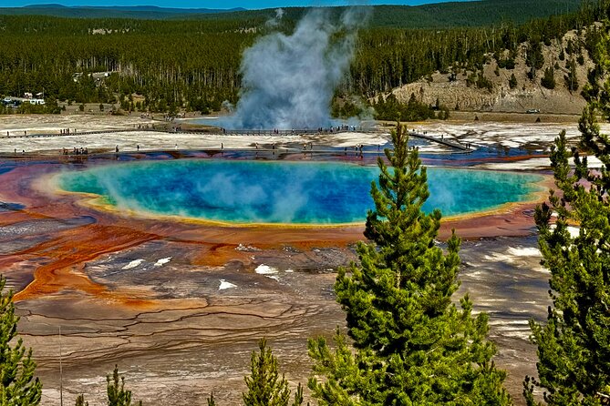 Yellowstone Open Air GLASS TOP/CONVERTIBLE Tour PU@Canyon Village - Expert Guides and Personal Service
