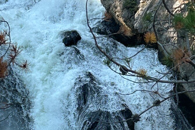 Yellowstone Open Air GLASS TOP/CONVERTIBLE Tour PU@Canyon Village - The Value and Overall Experience