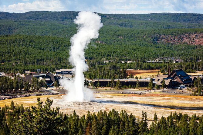 Yellowstone: Private Guided Tour - Visiting Yellowstone’s Most Famous Geysers and Hot Springs