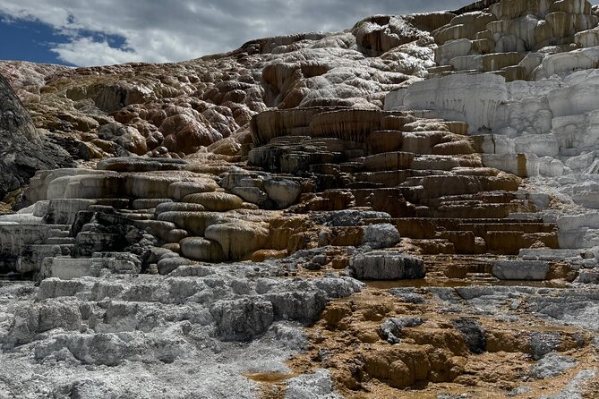 Yellowstone Private Tour - How the Tour is Structured and What It Covers