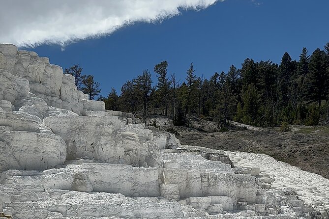Yellowstone Private Tour - Cost and Booking Considerations