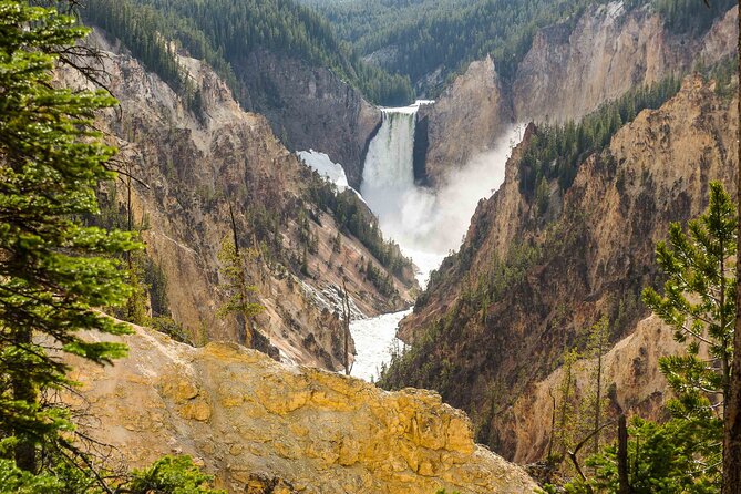 Yellowstone Private Tour Up To 14 - A Surprise Activity Included - Discover Yellowstone with a Private Group Tour for Up to 14 People