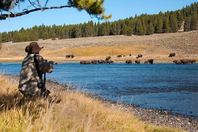 Yellowstone Through the Lens Photography Adventure - Yellowstone Through the Lens Photography Adventure: A Full-Day Wildlife and Scenic Tour for Photographers