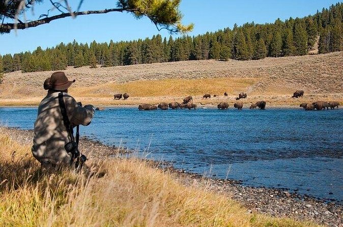 Yellowstone Through the Lens Photography Adventure - Practical Logistics and Included Amenities