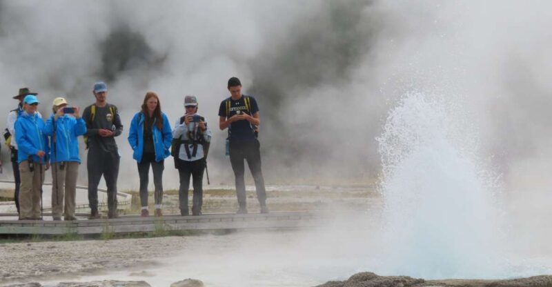 Yellowstone: Upper Geyser Basin Hike with Lunch - Unique Wildlife Encounters in Yellowstone