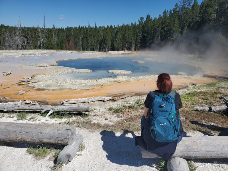 Yellowstone: Upper Geyser Basin Hike with Lunch - The Benefits of a Guided Yellowstone Geyser Hike