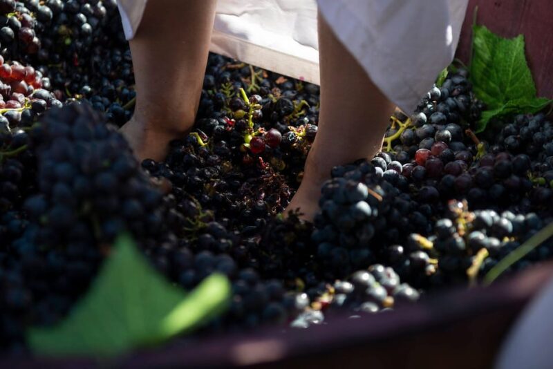 Yerevan: Khor Virap Day Trip with Mount Ararat Wine Tasting - Key Points