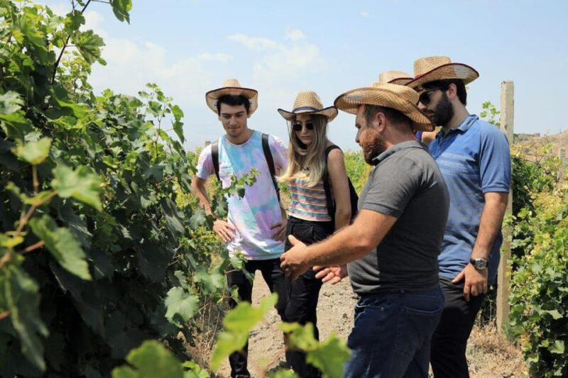 Yerevan: Khor Virap Day Trip with Mount Ararat Wine Tasting - What Makes This Tour Stand Out