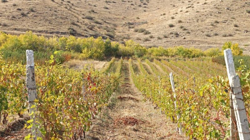 Yerevan: Khor Virap Day Trip with Mount Ararat Wine Tasting - Potential Limitations to Keep in Mind