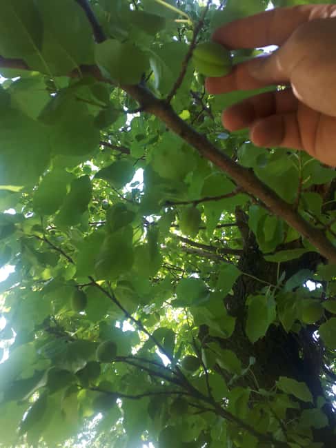 Yerevan: Khor Virap, Garni, Geghard, Echmiadzin, & Zvartnots - Geghard Monastery: Rock-Cut Monastic Complex