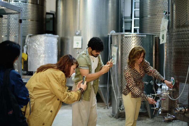 Yerevan: Wine Tasting and Vineyard Lunch at Voskeni Winery - Discover the Charm of Voskeni Winery in Armenia