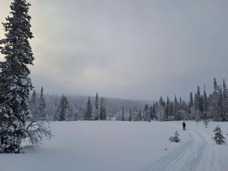 Ylläs: Guided Nordic Skiing Tour in Lapland Wilderness - Returning to the Starting Point